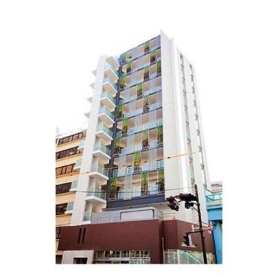 �A���r�G���e�ŉY�̊O�ω摜