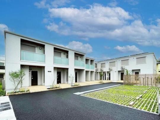 �O���i�[�f����˓��̊O�ω摜