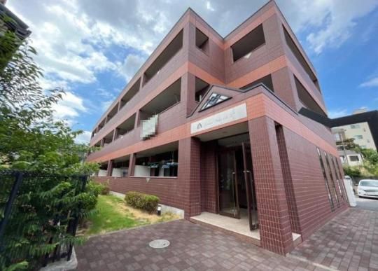 �O���C�X���B���@�r�D�s�D�̊O�ω摜