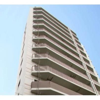 �p�[�N�A�N�V�X�󑐋��񒚖ڂ̊O�ω摜