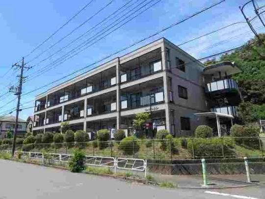 �E�C���O�q���̊O�ω摜