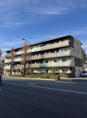 WHITE BIRCH�̊O�ω摜