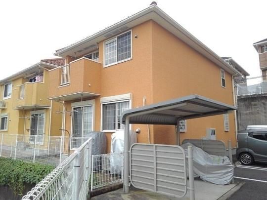 �A�C�r�[�q���Y�U�̊O�ω摜