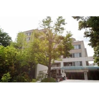 �p�[�N�R�[�g���փq���g�b�v���W�f���X�̊O�ω摜