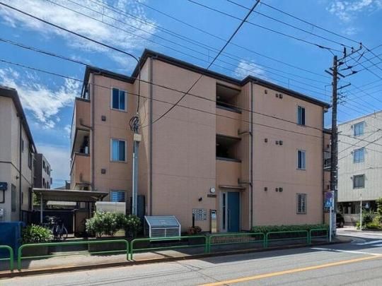 �X���q���Y�̊O�ω摜