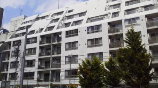 �J�X�^���A�����̐��̊O�ω摜