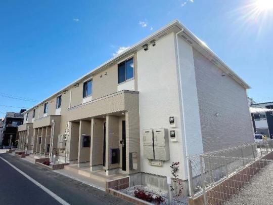 �~�E�J�[�T�͕�A�̊O�ω摜