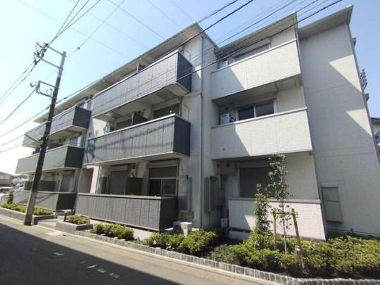 �Z���X�e�B�A�k�G�R�̊O�ω摜