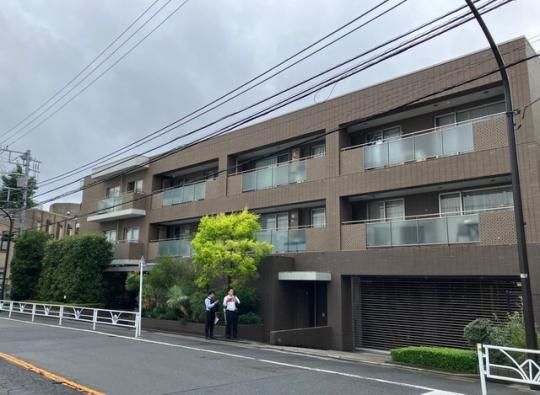 �K�[�f���a�J�X��̊O�ω摜