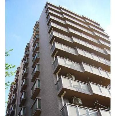 �R�A�V�e�B������̊O�ω摜