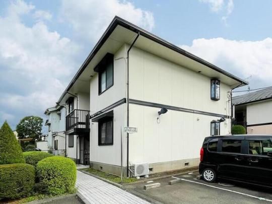 �T�C�v���X�^�E���@�a�̊O�ω摜