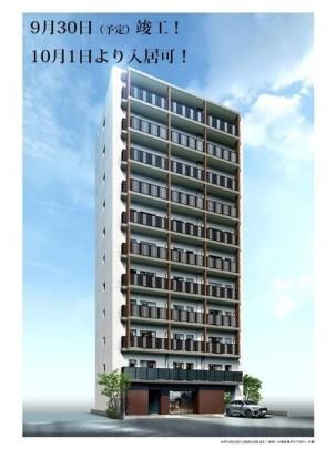 �r�s�`�m�c�y�T�˂̊O�ω摜