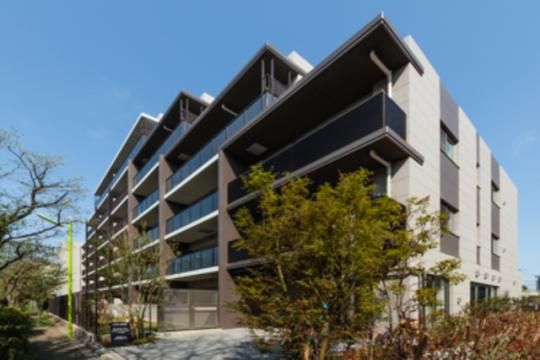 �p�[�N�A�N�V�X��ΑD���̊O�ω摜