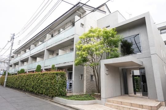 ���]���Q�P�̊O�ω摜