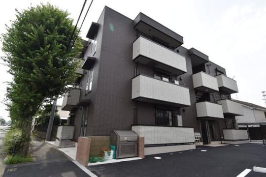 �A�O�m�X�@�G�[�i�̊O�ω摜