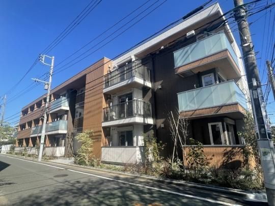 �G�N�Z���A���{�U�̊O�ω摜