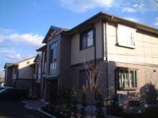 �h���X���؂̊O�ω摜