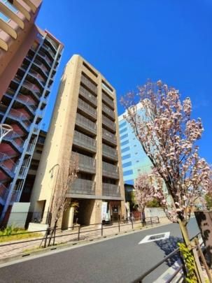 �W���r�i�̊O�ω摜