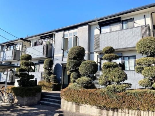 �p���A���[���@�`�a�̊O�ω摜