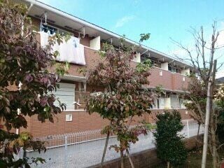 �J�T�u�����J�E�t�@�C�u�̊O�ω摜