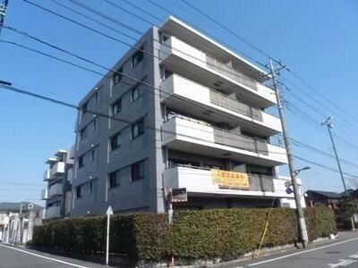 �T���q���Y�����̊O�ω摜