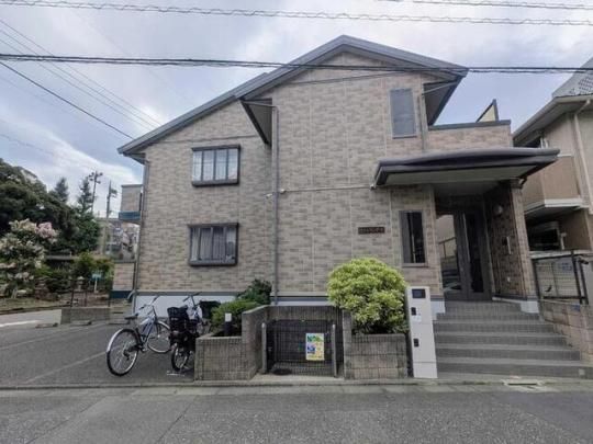 ���W���}���e�E�j�̊O�ω摜