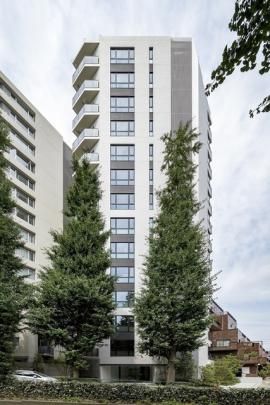 �o���������@�`����������̊O�ω摜