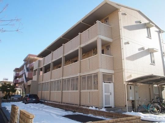 �G�X�p�V�I�̊O�ω摜