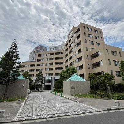 �p�[�N�A�N�V�X�b����̊O�ω摜