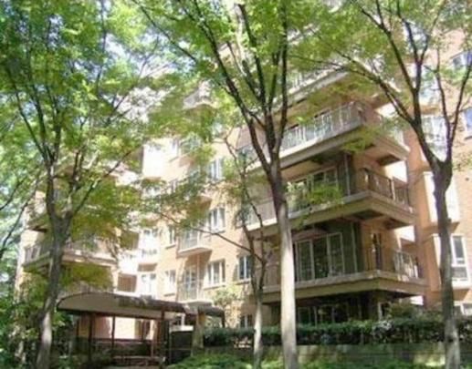 �L���K�[�f���q���Y�`���̊O�ω摜