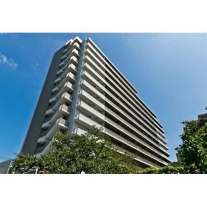 �p�[�N�A�N�V�X���z���E�e�������̊O�ω摜