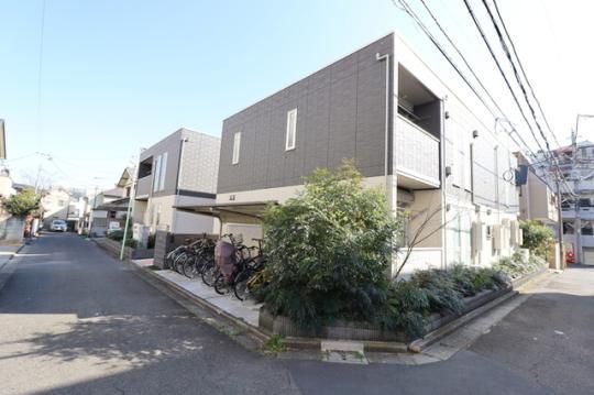 �u�����E�m���[���̊O�ω摜