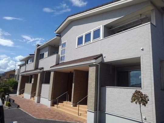 �\���C���U�̊O�ω摜