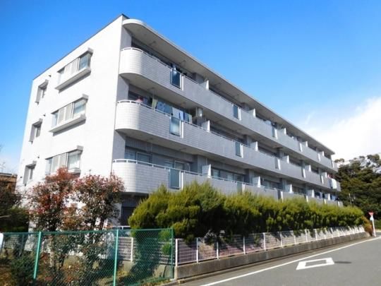 �T�j�[�q���Y�j�̊O�ω摜