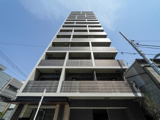 �v���C�}�����E��ג��̊O�ω摜