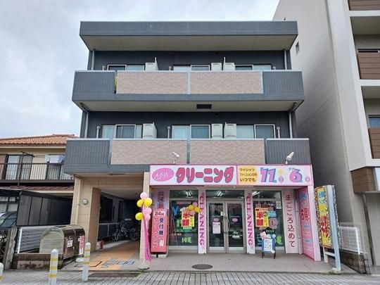 �n�C�c�E�R�X���X�̊O�ω摜