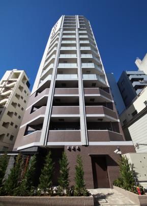 �p�[�N�A�N�V�X�󑐋��U�̊O�ω摜