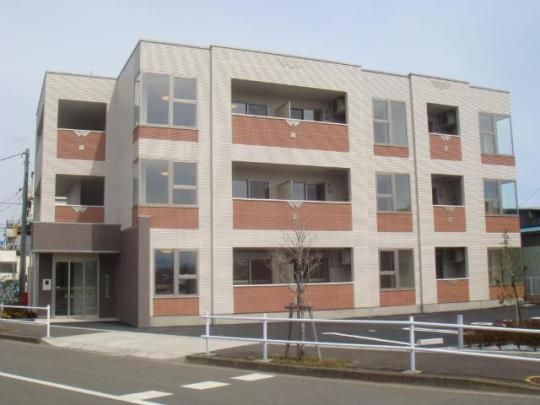 �T���G���e�̊O�ω摜