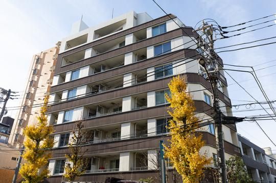 �p�[�N�����N�X�O�h�̊O�ω摜