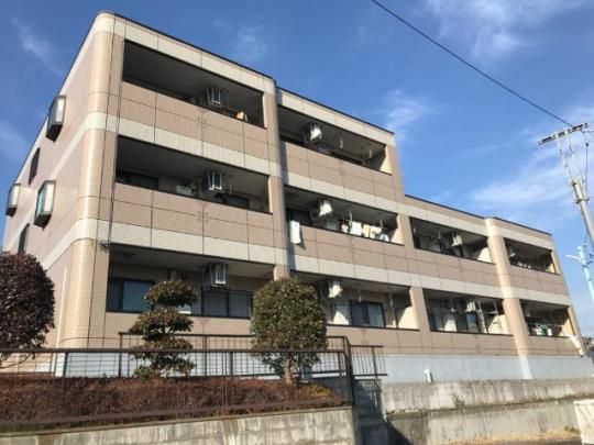 �K�[�f�����o�e�B�̊O�ω摜