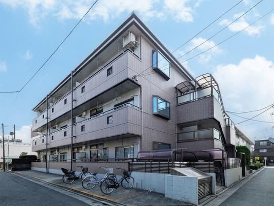 �Z���`�����[�E�n�C�c�̊O�ω摜