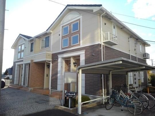 �A���o�[�^�V�̊O�ω摜