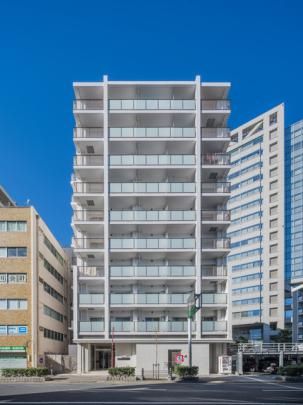 �l�e�o�q�R�[�g���c�̊O�ω摜