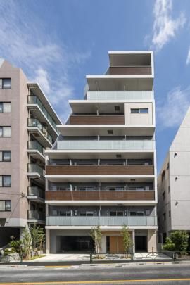 �p�[�N�L���[�u�����؂̊O�ω摜