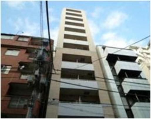 �J�X�^���A�V�x���V�̊O�ω摜