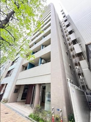 �J�X�^���A����V�̊O�ω摜