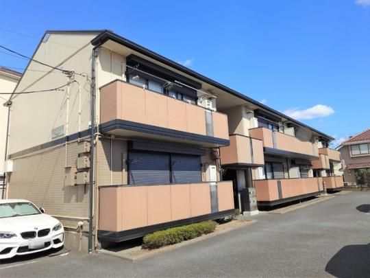 �G�X�y�����T�̊O�ω摜