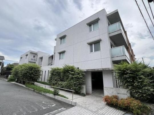 �A�r�e�B�m�̊O�ω摜