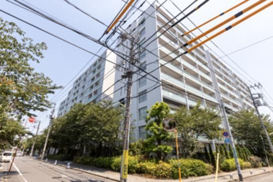 �K�[�f�j�G�[���m���W�f���X�̊O�ω摜