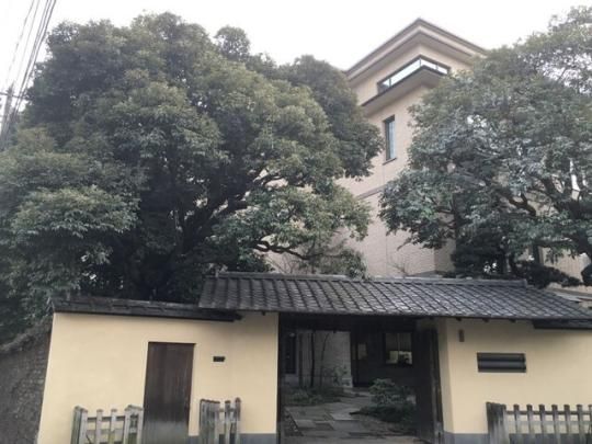 �I�[�N�q���X�̊O�ω摜